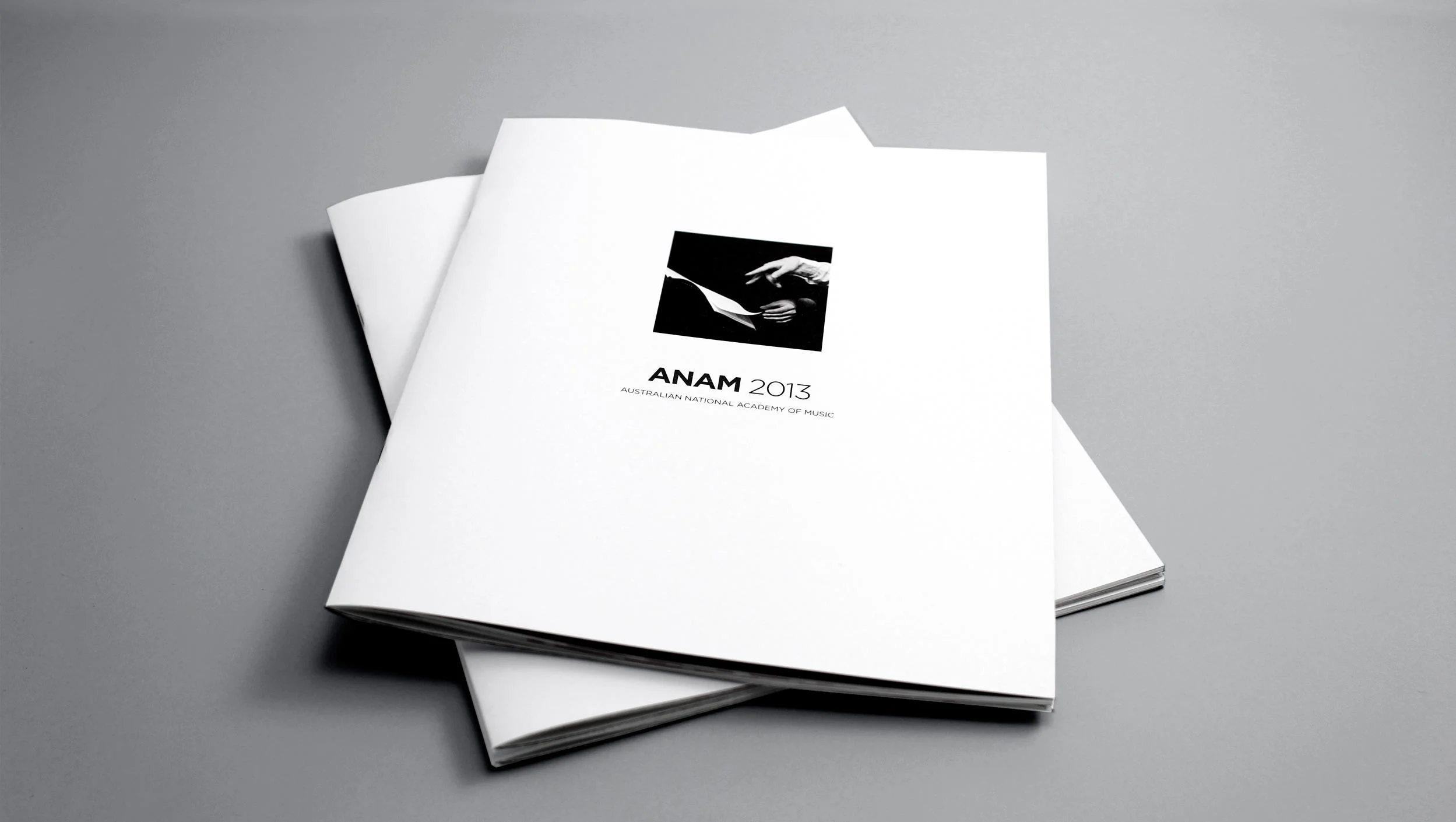 ANAM-2013-N-R-1.jpg