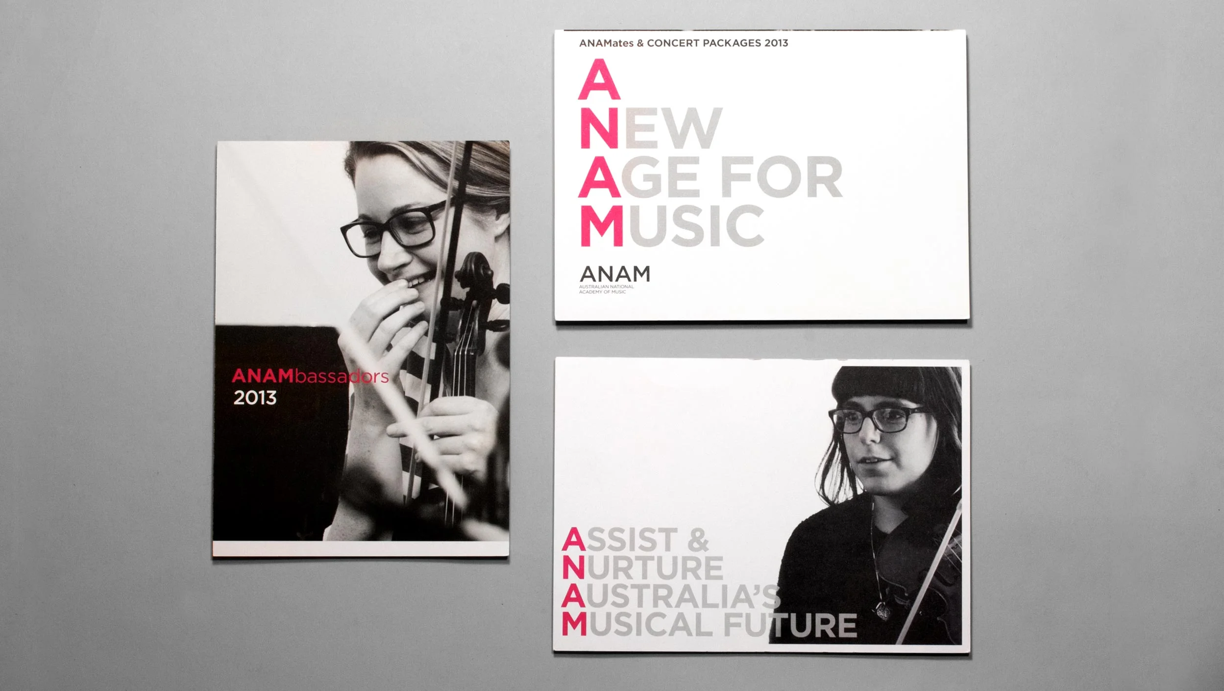 ANAM-2013-N-R-5.jpg
