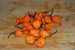 habaneros.jpg