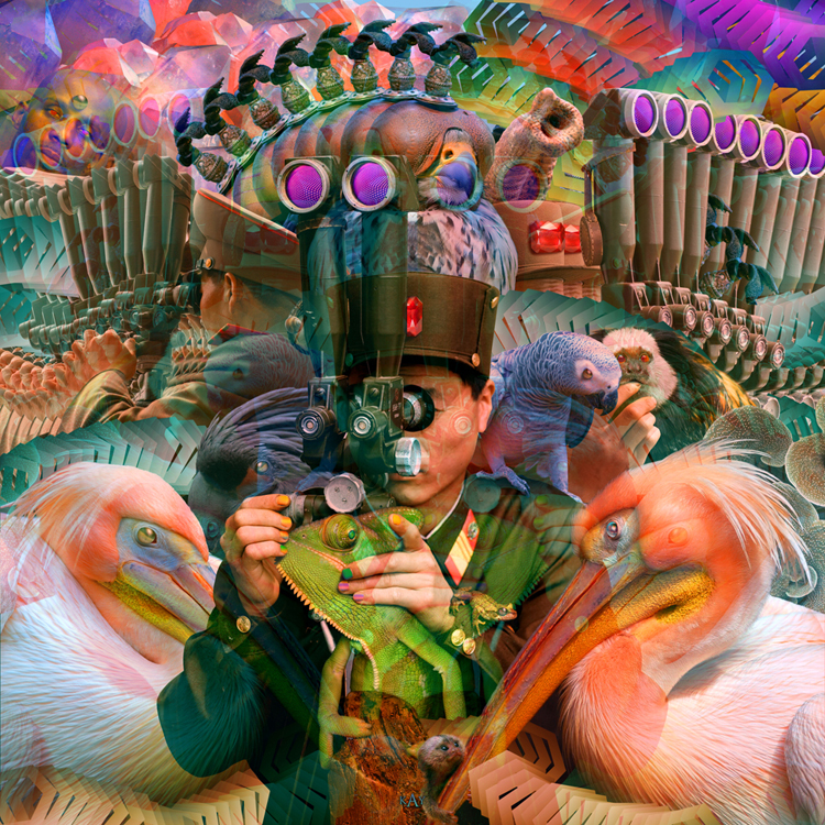 SK_DMTMZMX_2010.jpg