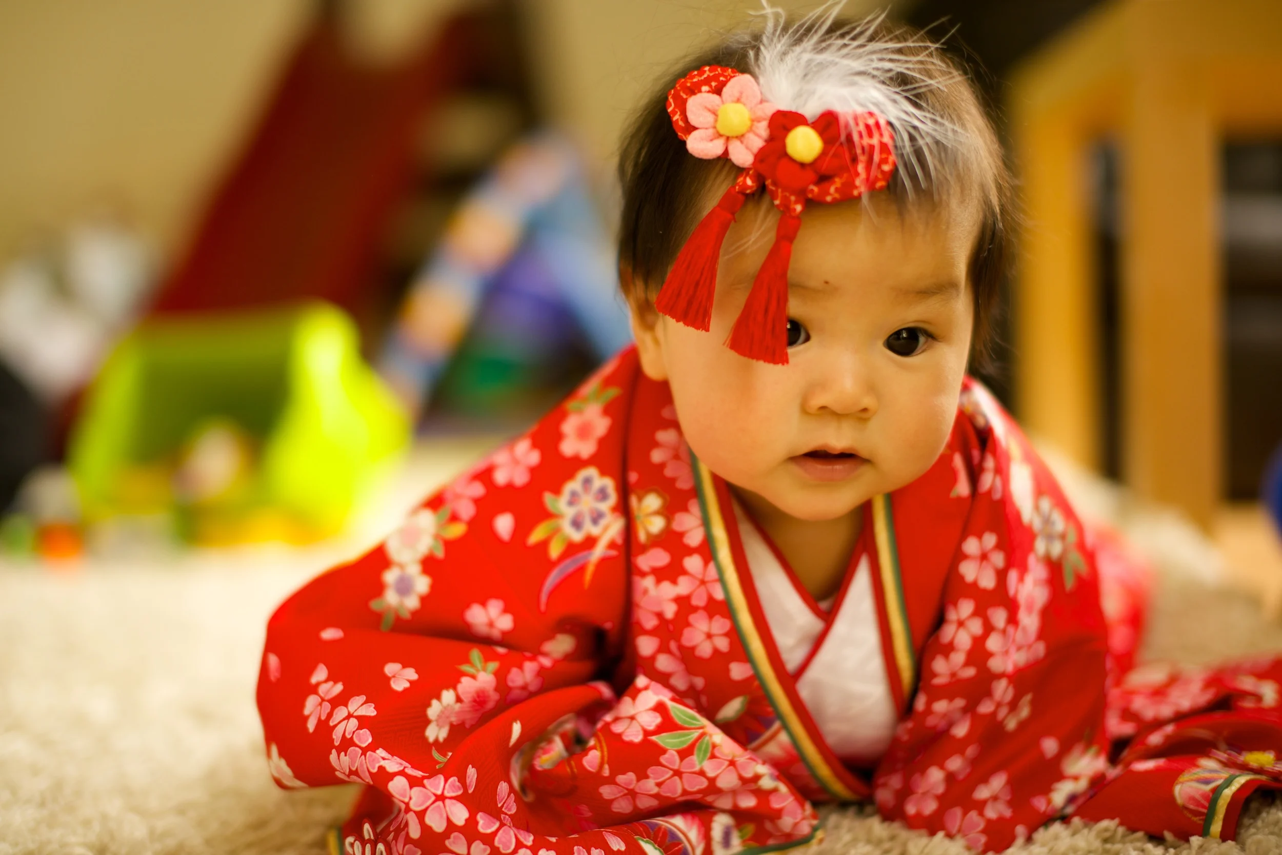 JAL_7381.jpg