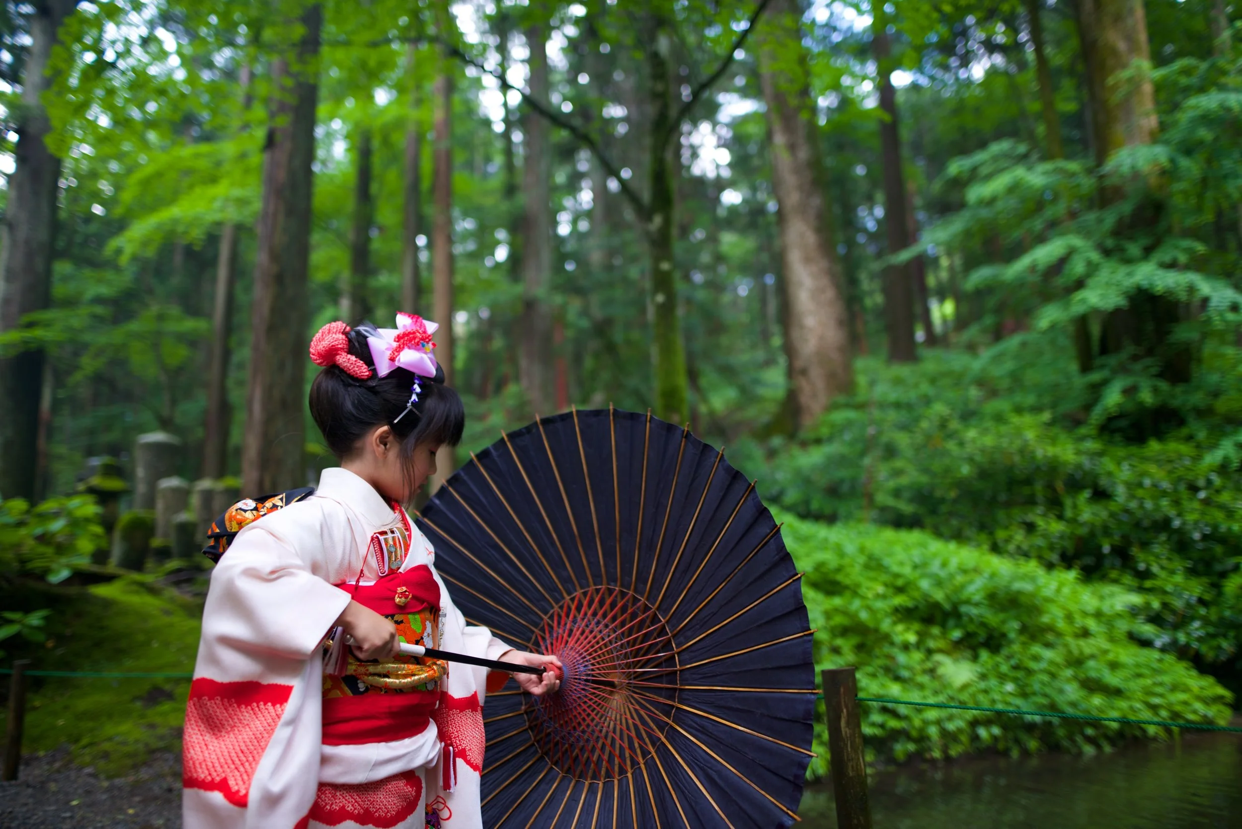 JAL_0451.jpg