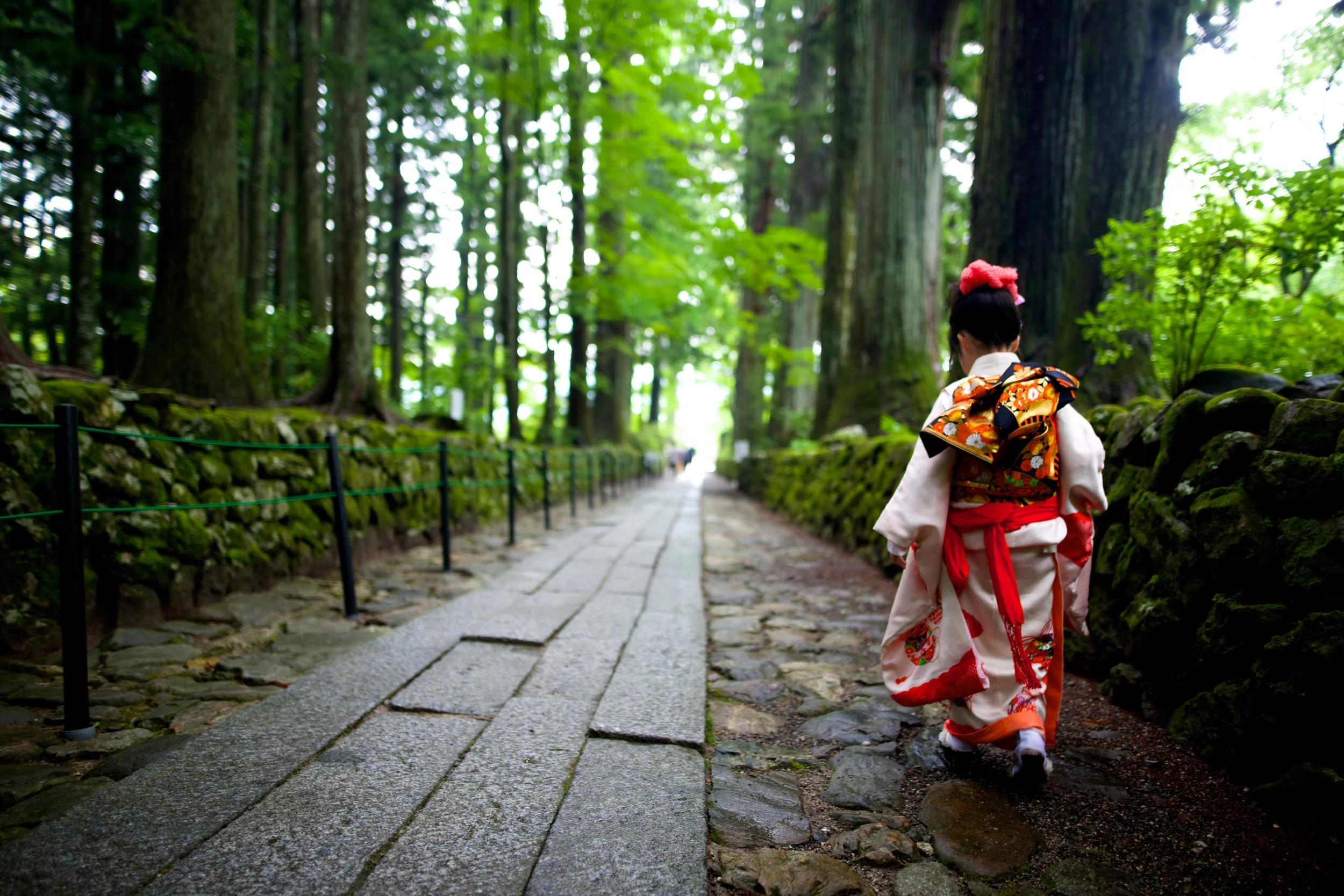 JAL_0680.jpg