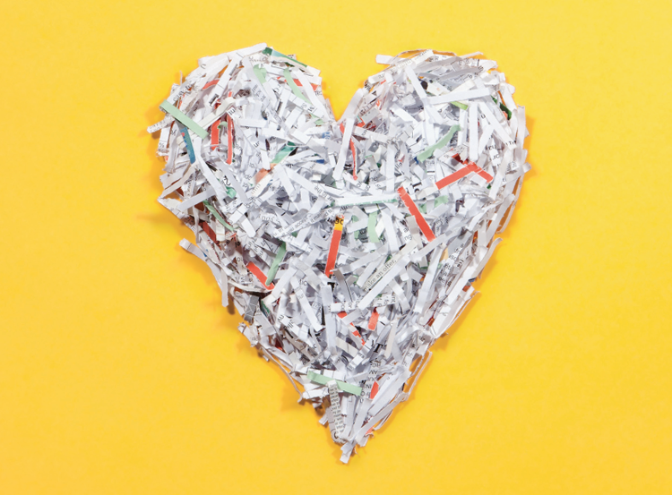 shredday_cover.png