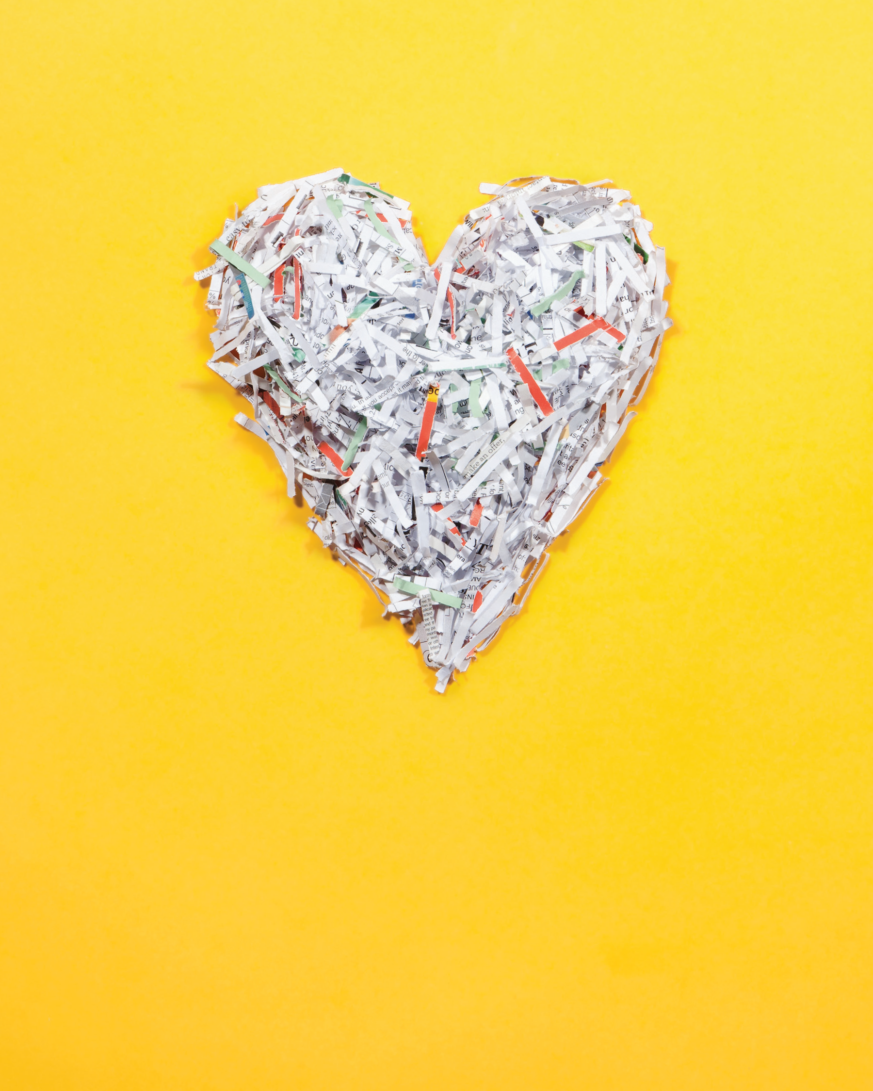 wsecu_portfolio_shredday.png