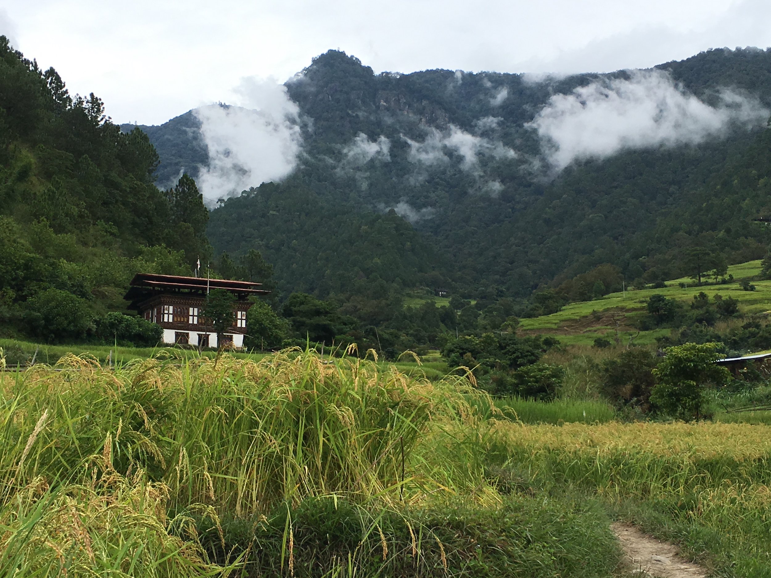 Punakha, Bhutan