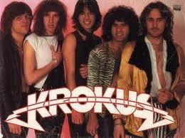 krokus.jpg