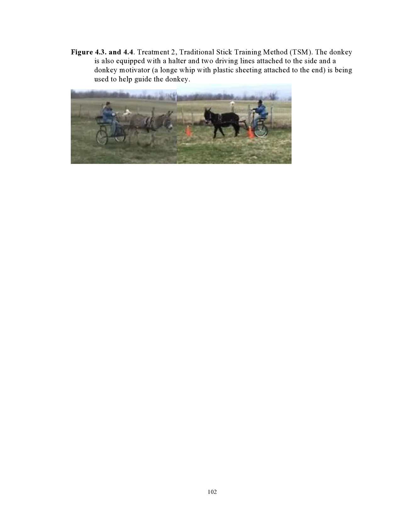 page0117.jpg