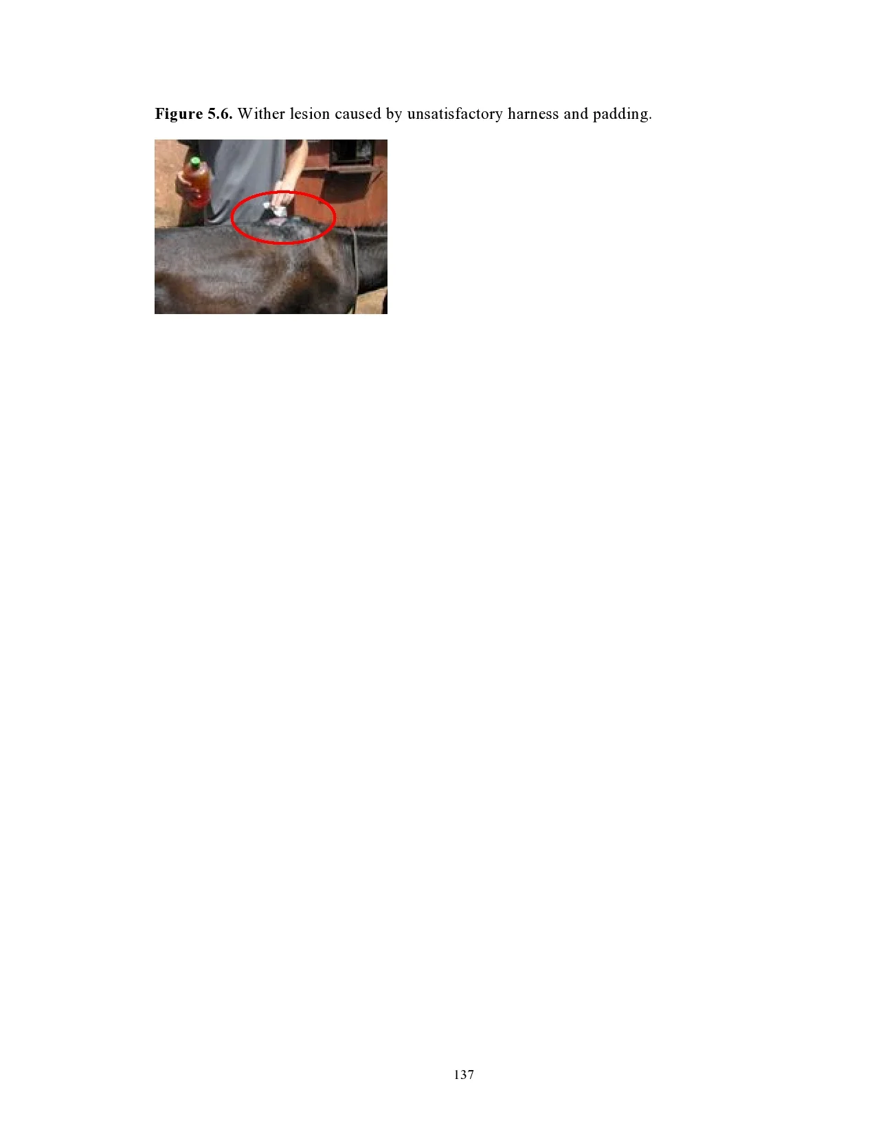 page0152.jpg