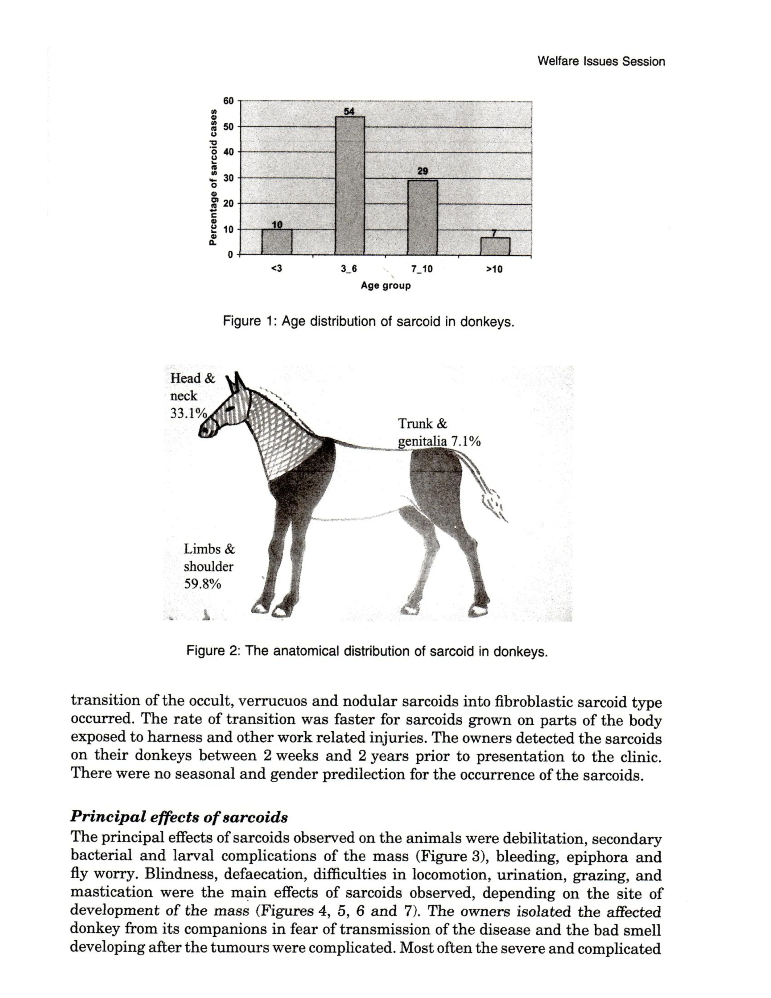 page-3.jpg