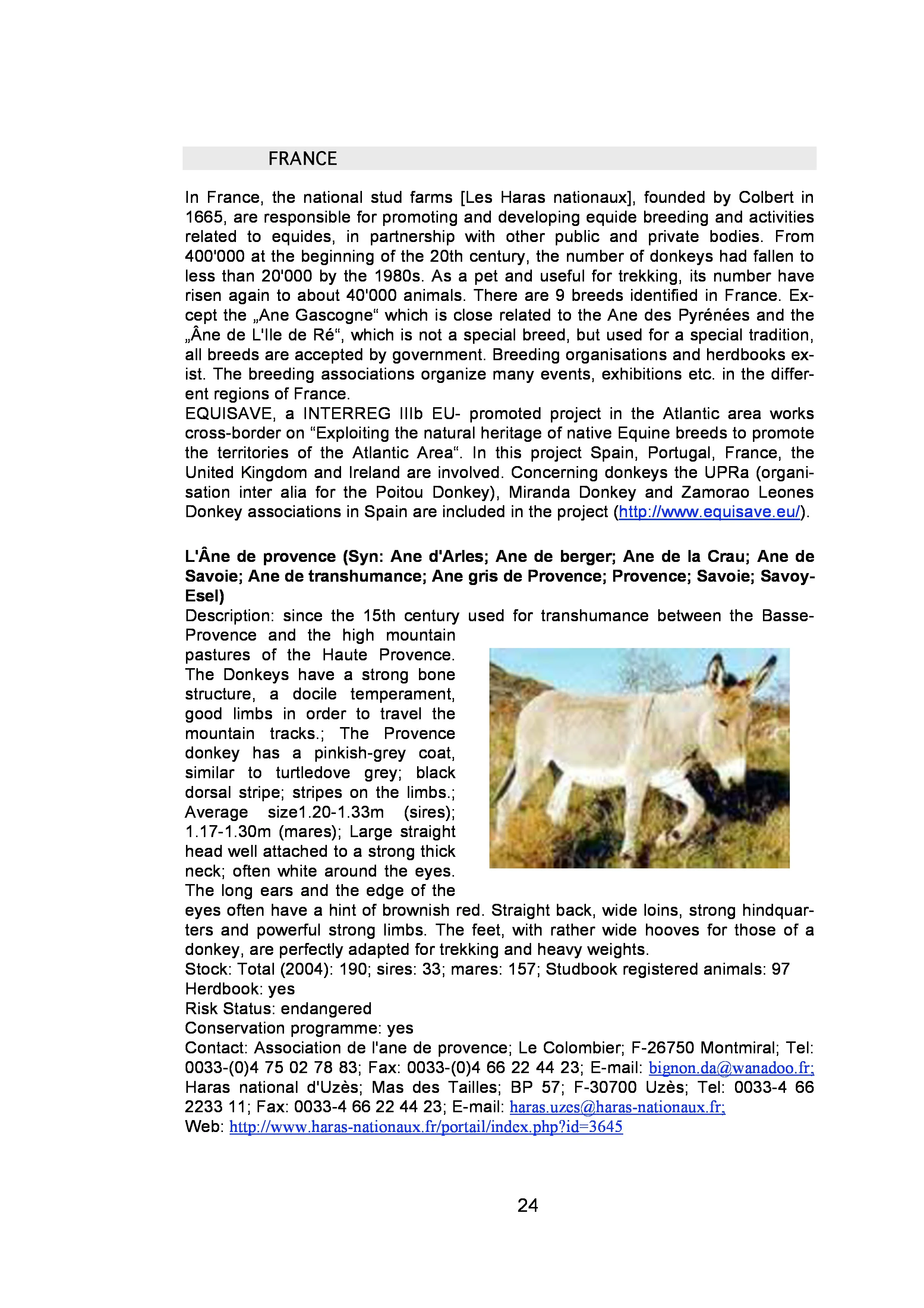 page-23.jpg