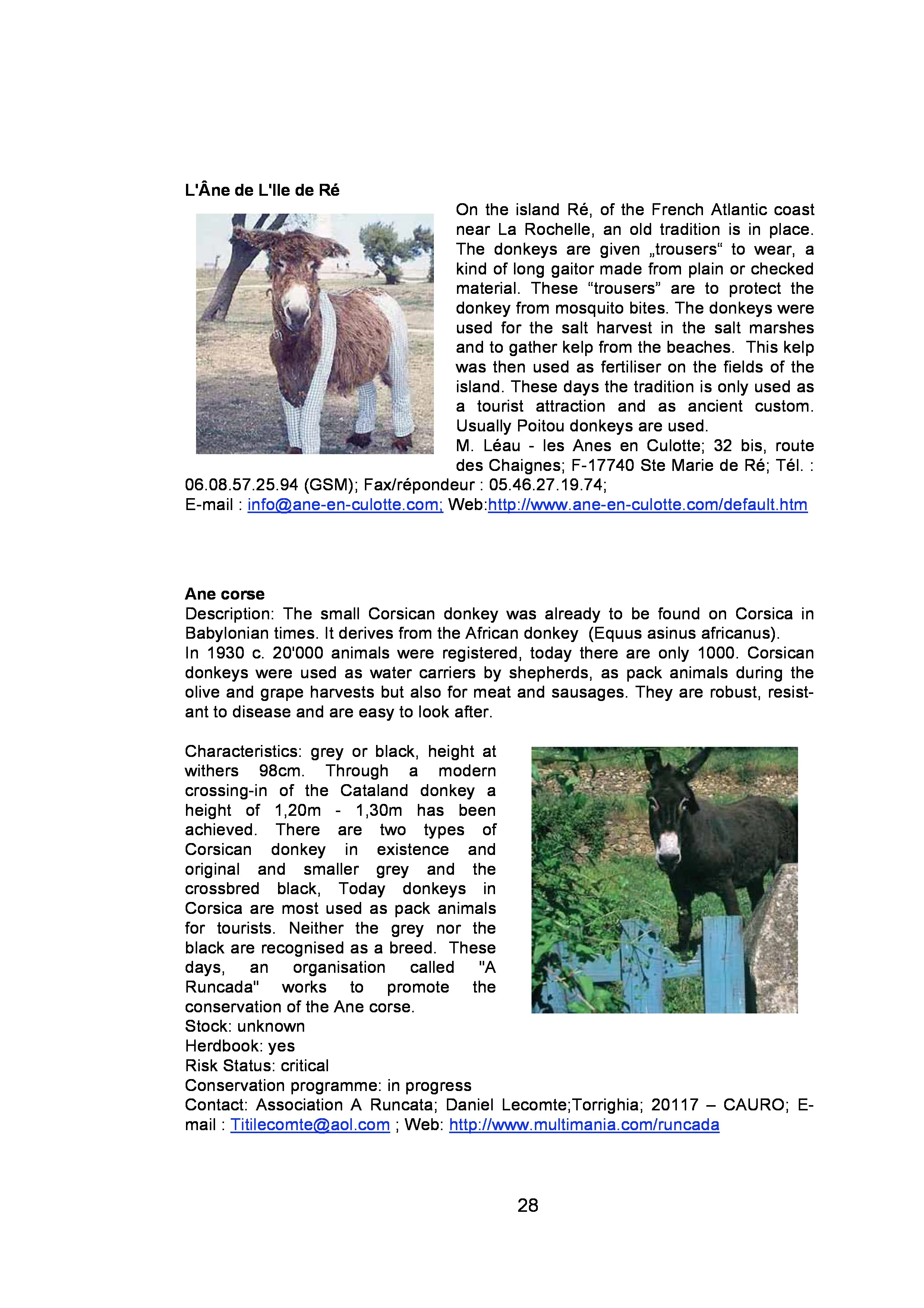 page-27.jpg