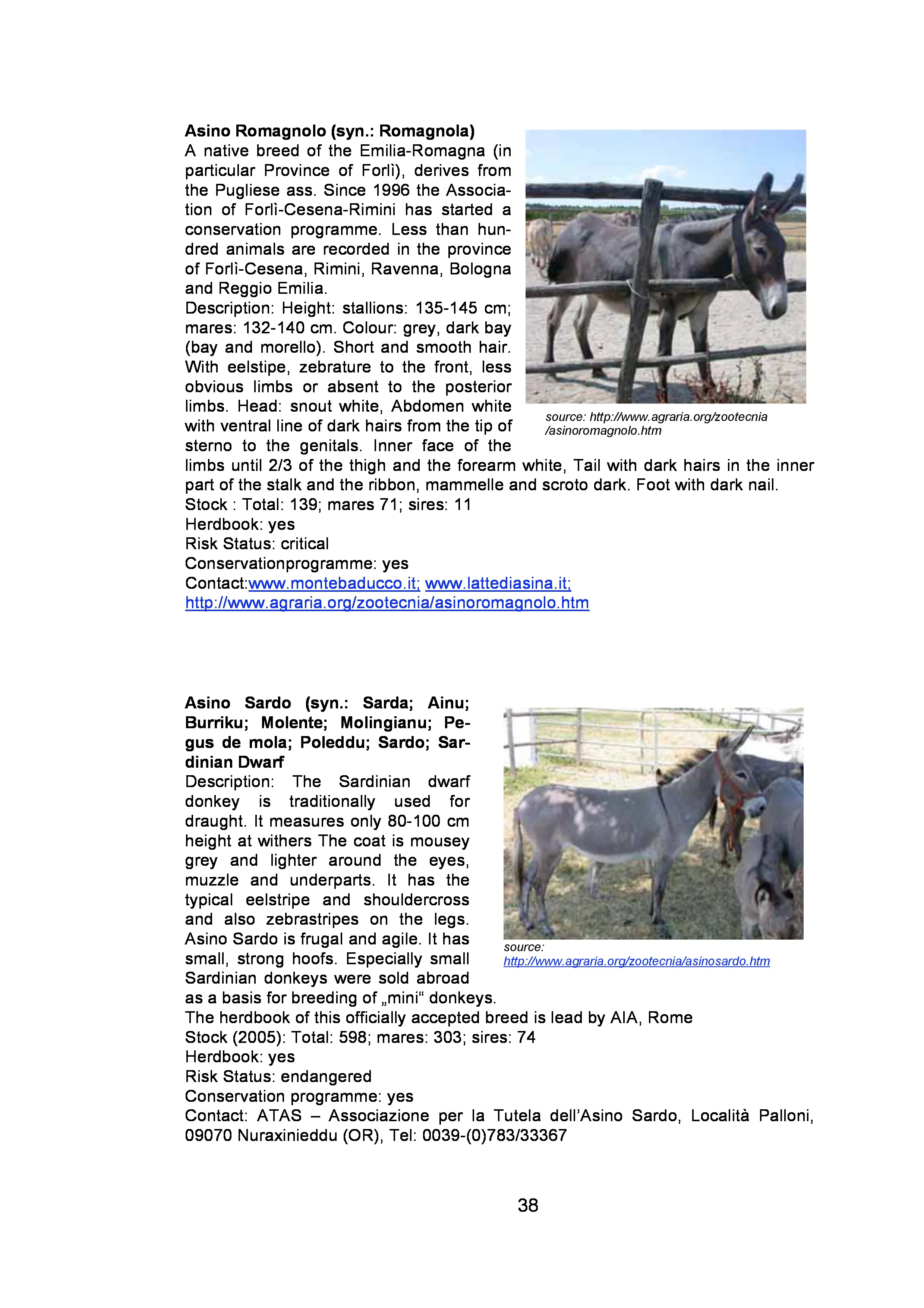 page-37.jpg