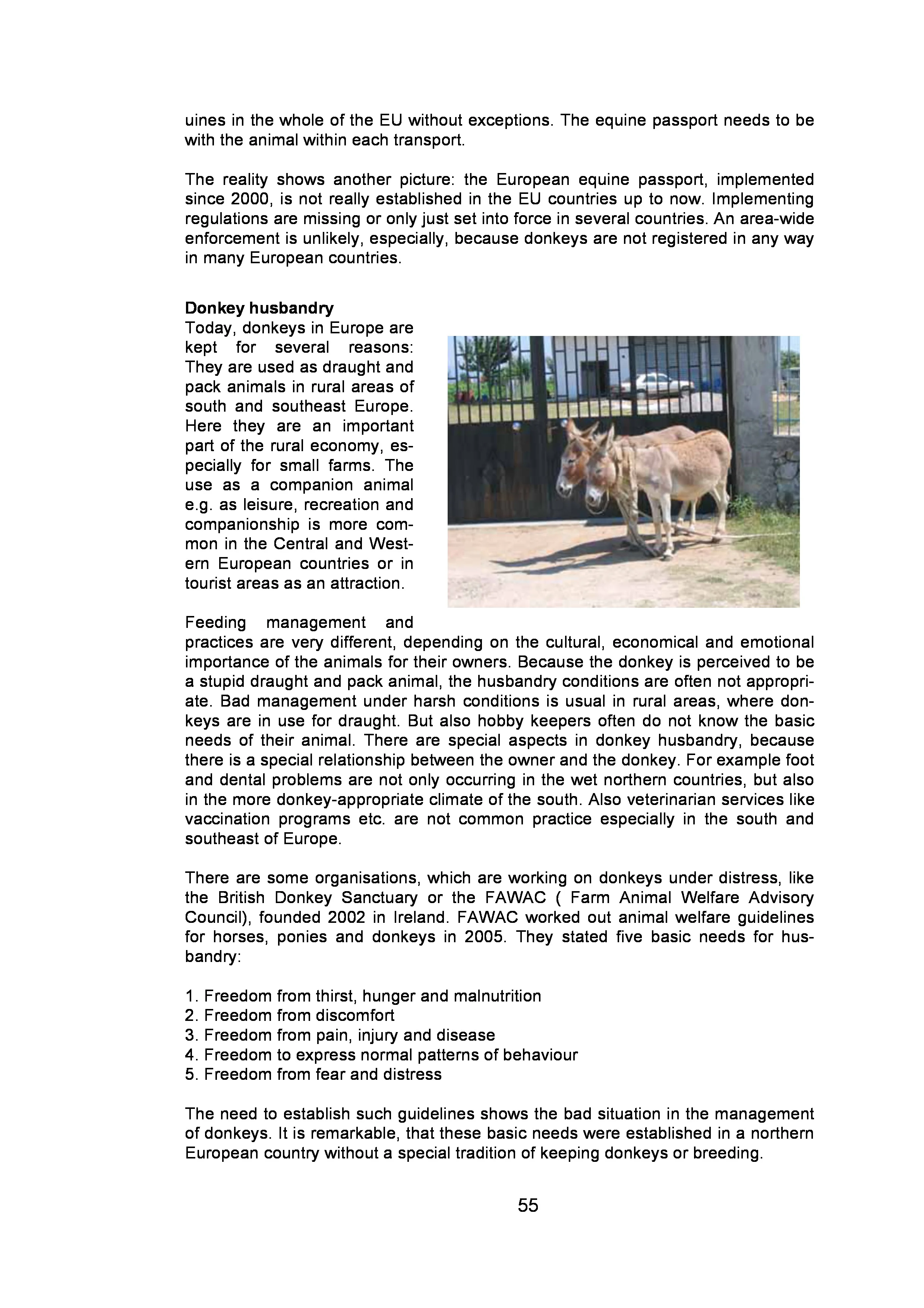 page-54.jpg