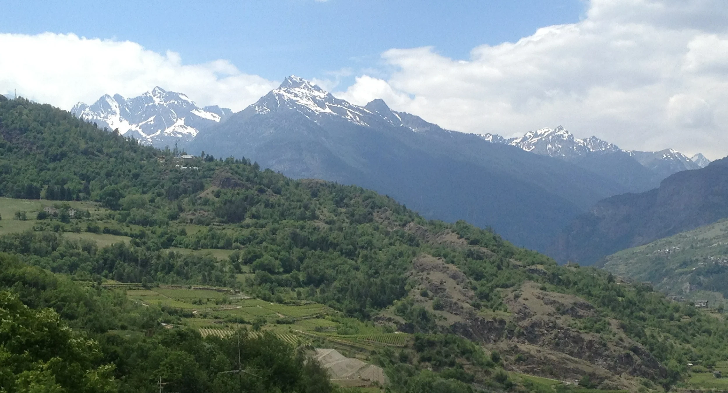 The Alps are close by to many of the dairies.