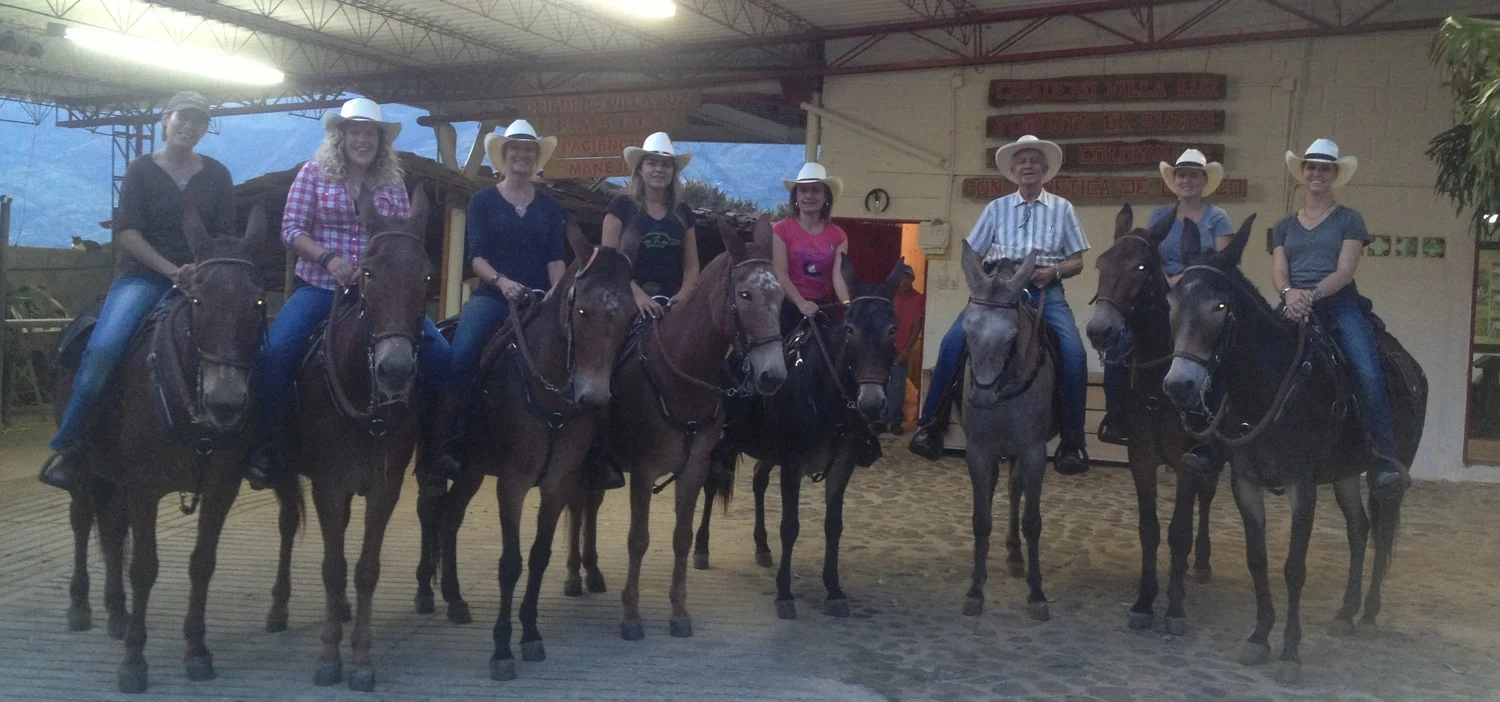 Long ears around the world ...