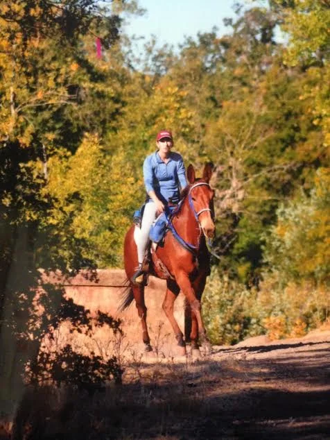  Endurance Day – ICE Your Cell, Leg Protection, Mules & Mustangs Excel in Endurance