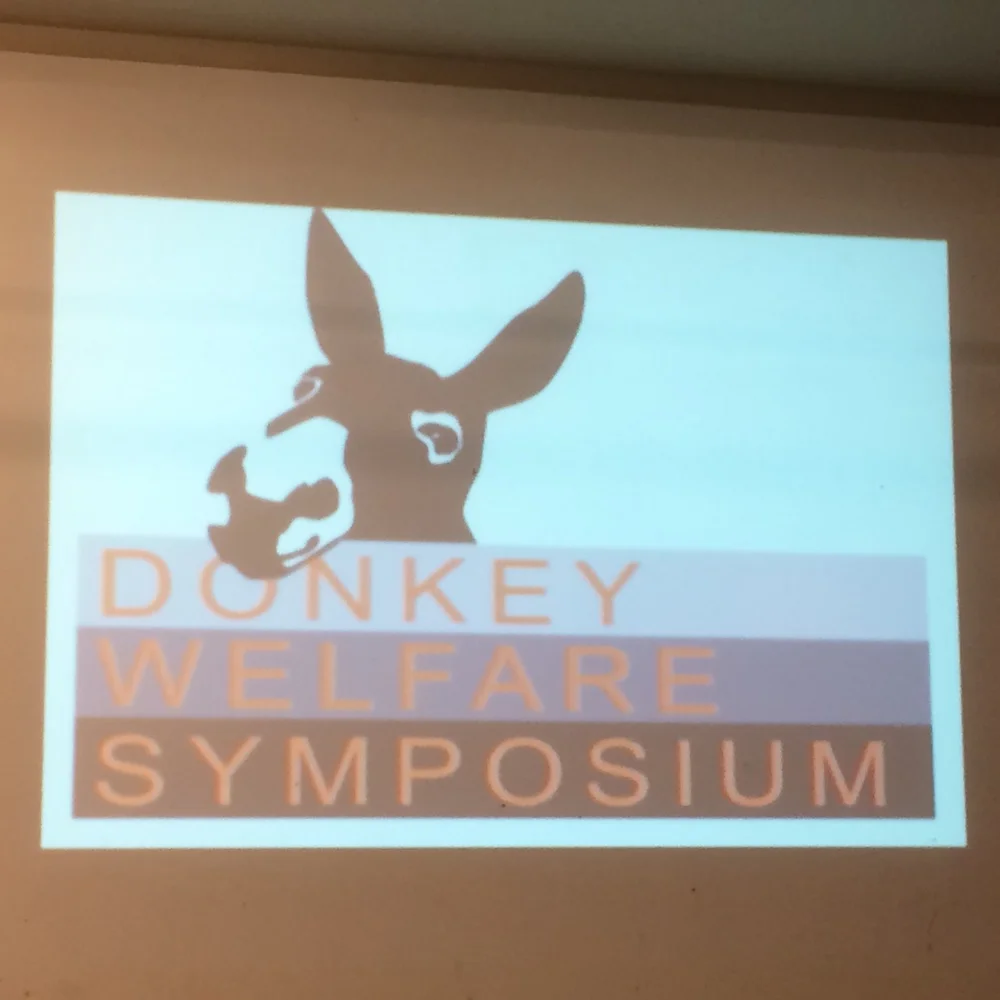 2nd Annual Donkey Welfare Symposium