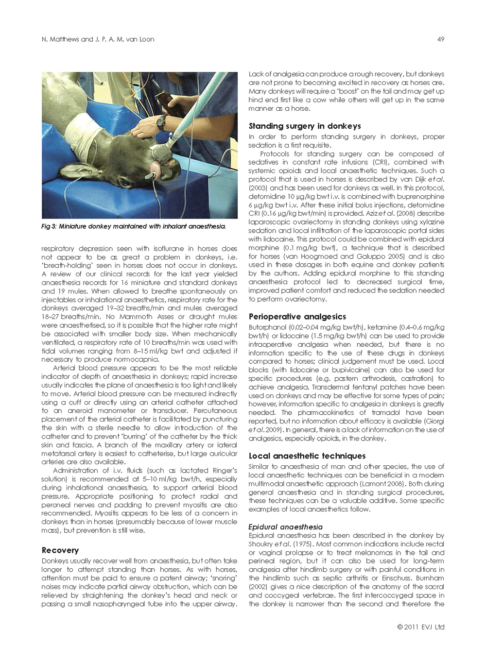 Anaesthesia and analgesia of the donkey and the mule — American Mule ...
