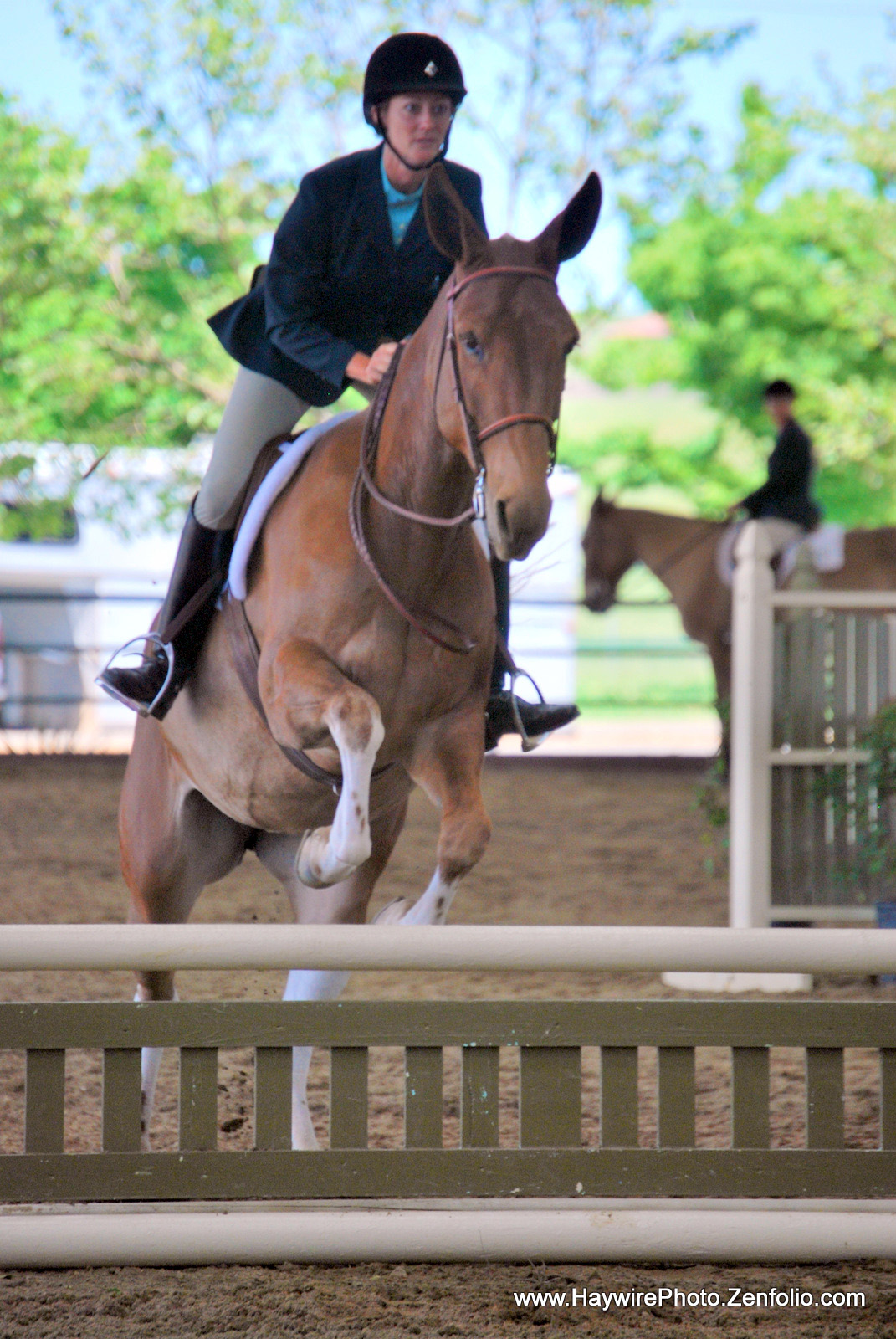 Dyna Does Dressage a Documentary/GoFundMe