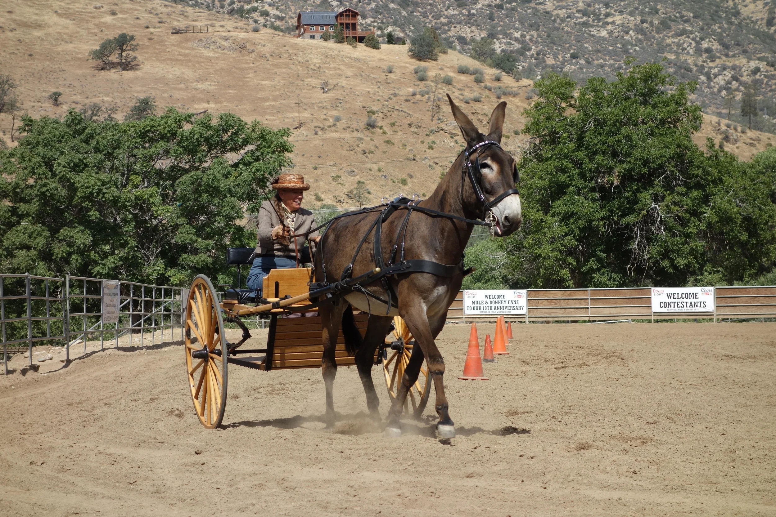 Small talk about the shows