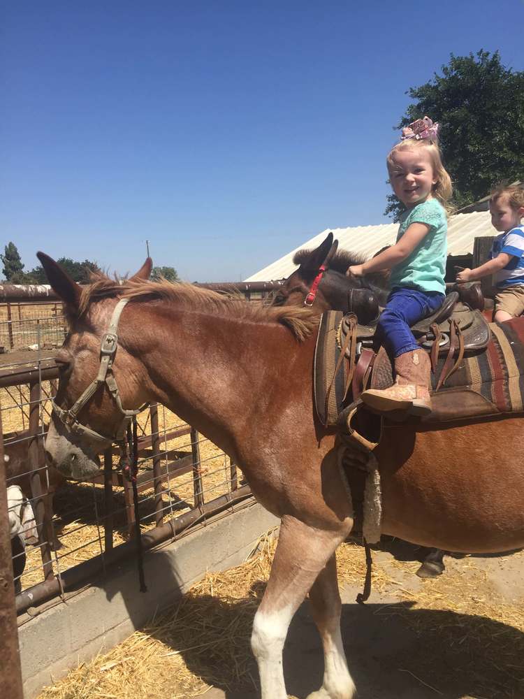 Aspen Branco on her late grandmother Terry Branco's mule PippyLongstockings