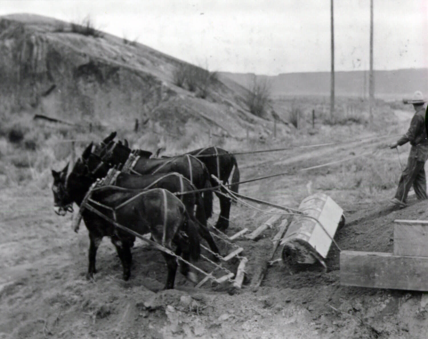 Circa 1935. Preparing bed with mules for laying ties for railroad. Source: US Bureau of Reclamation: managing water in the west.