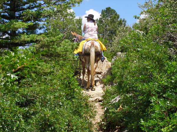 07-24-2008 046.jpg