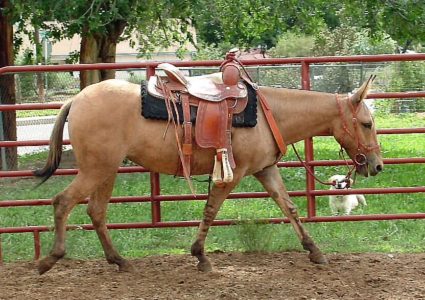 20120622_78.jpg