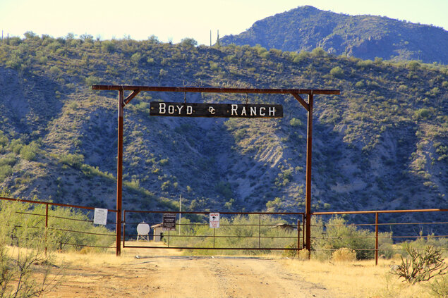 Boyd Ranch Mule Ride