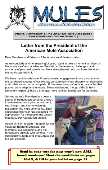 Nov2025Newsletter-p1.png