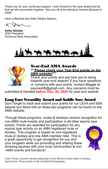 Nov2025Newsletter-p2.png
