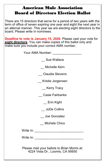 Nov2025Newsletter-p14.png