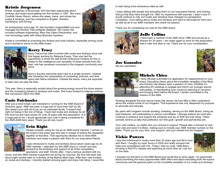 AMA Ballot p2.png