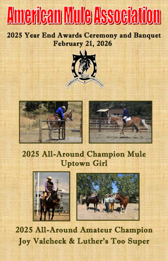 2025 AMA Year End Awards Banquet Program Book