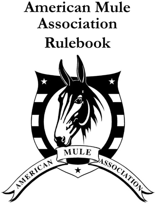 Rulebook.jpg