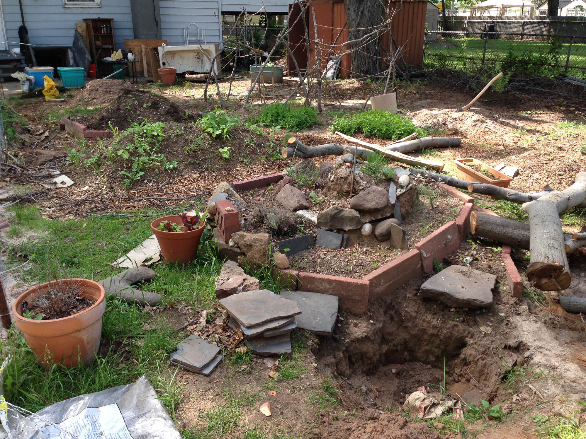  By the end of May there are sprouts in all the beds.&nbsp; Jon begins his pond project. 