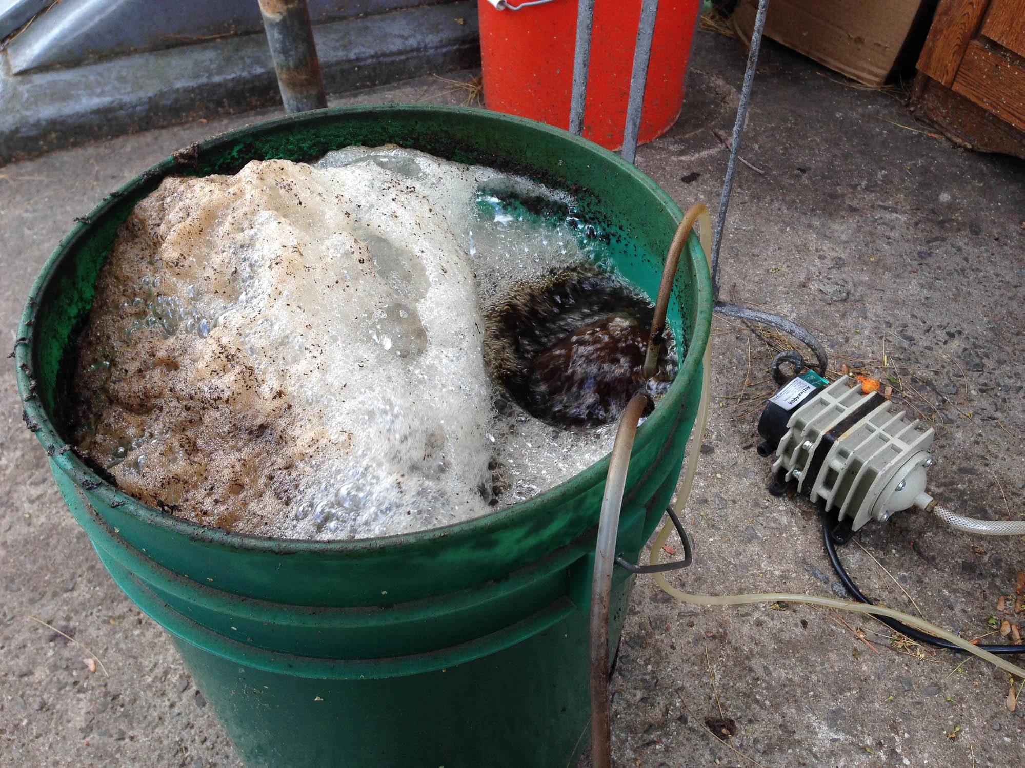 With the wood chips came another batch of compost tea. It's Alive!