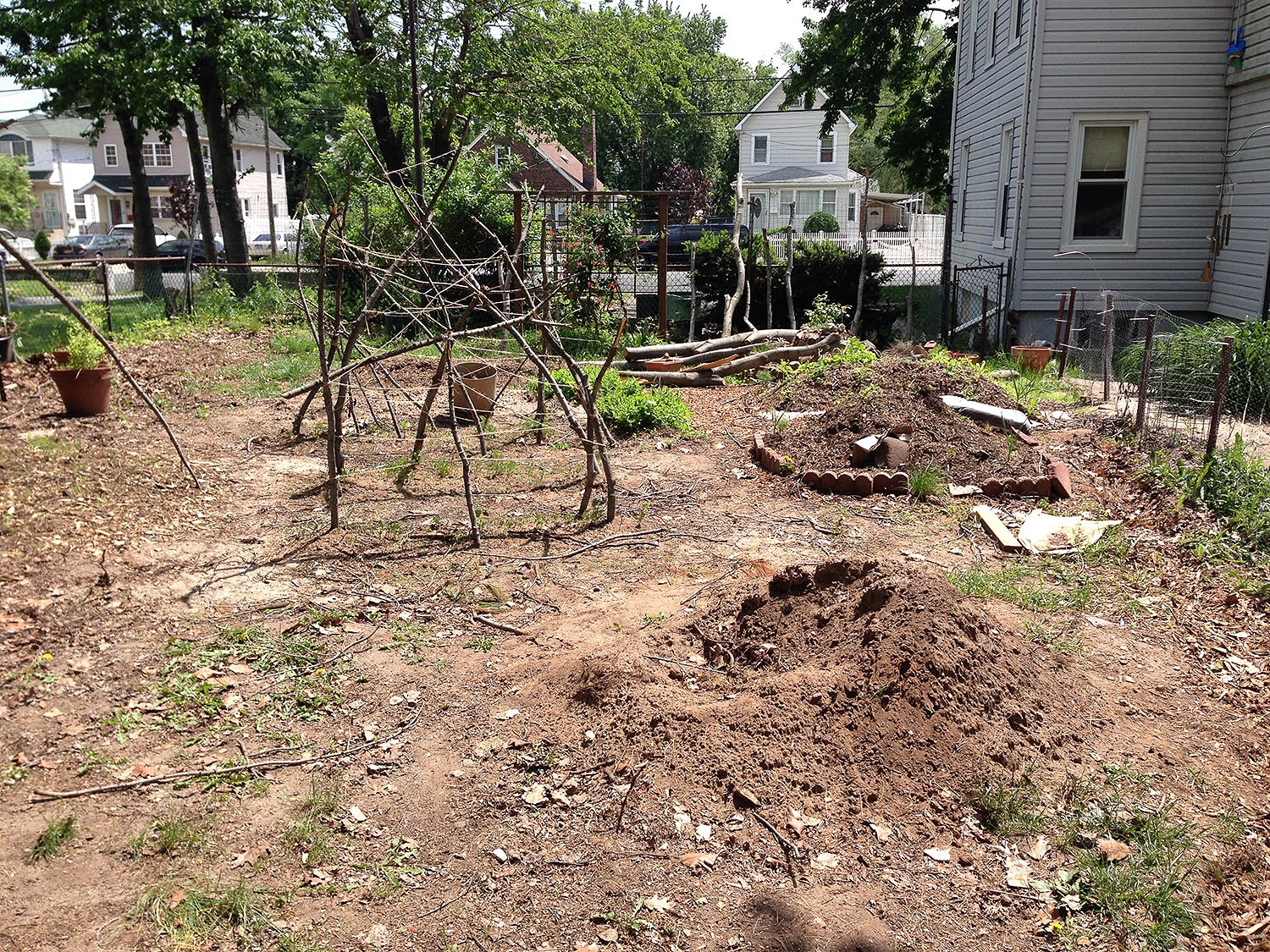  Root bound and hard as concrete I decided not to fight for a grow-bed in the middle of the yard.&nbsp; I put a mix of pole beans, clover and root crop, reckoning it would be best to force some nutrients and carbon in the soil.&nbsp; My bean poles ca