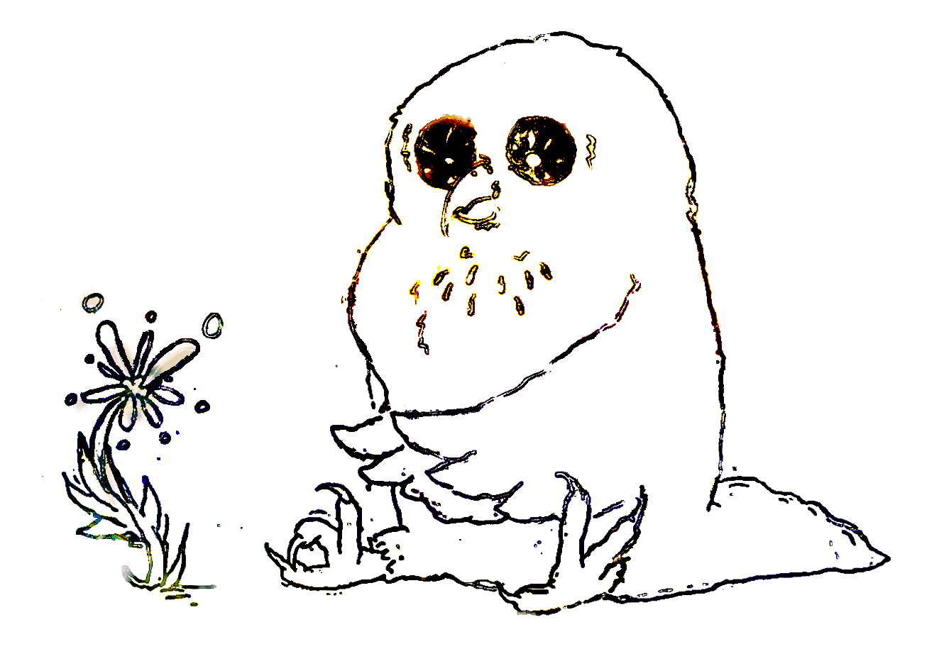 flowerbird color.png