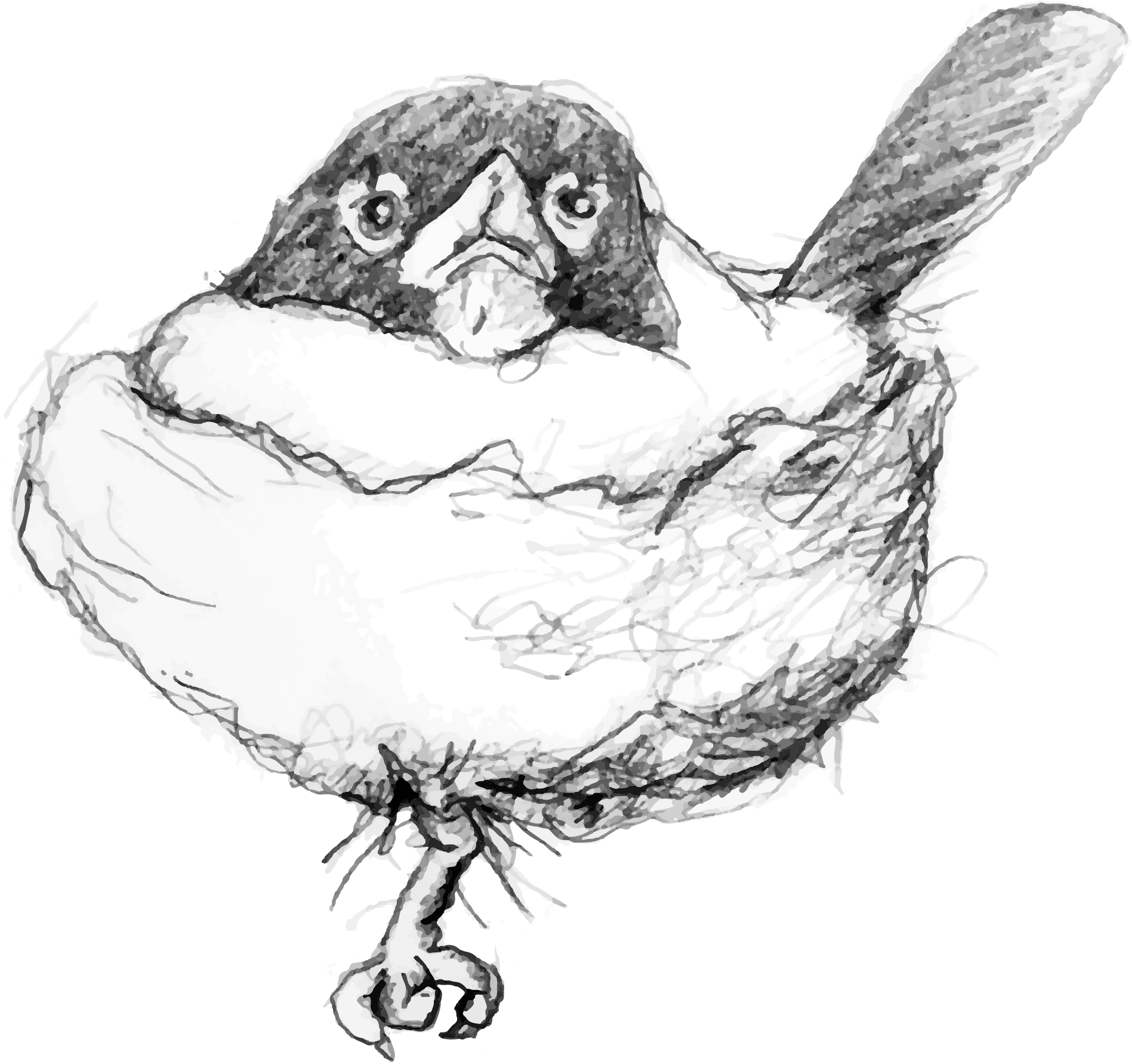 Asset 4.png