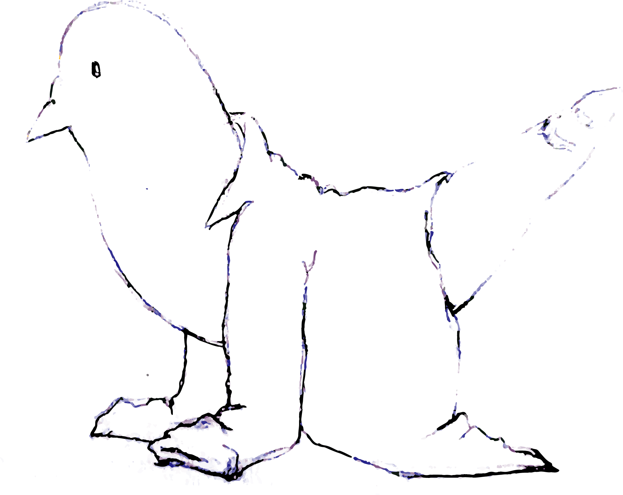 dumbbird xxix bird vector 2.png
