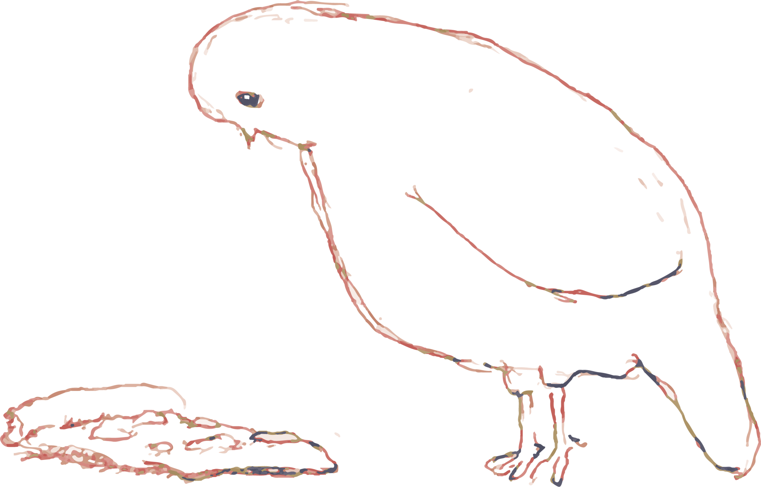 Asset 1.png