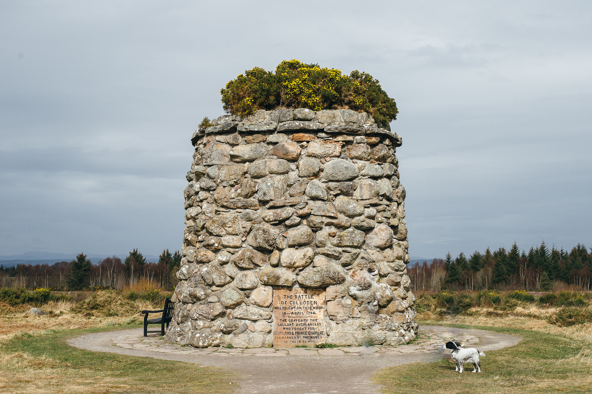 Culloden.JPG