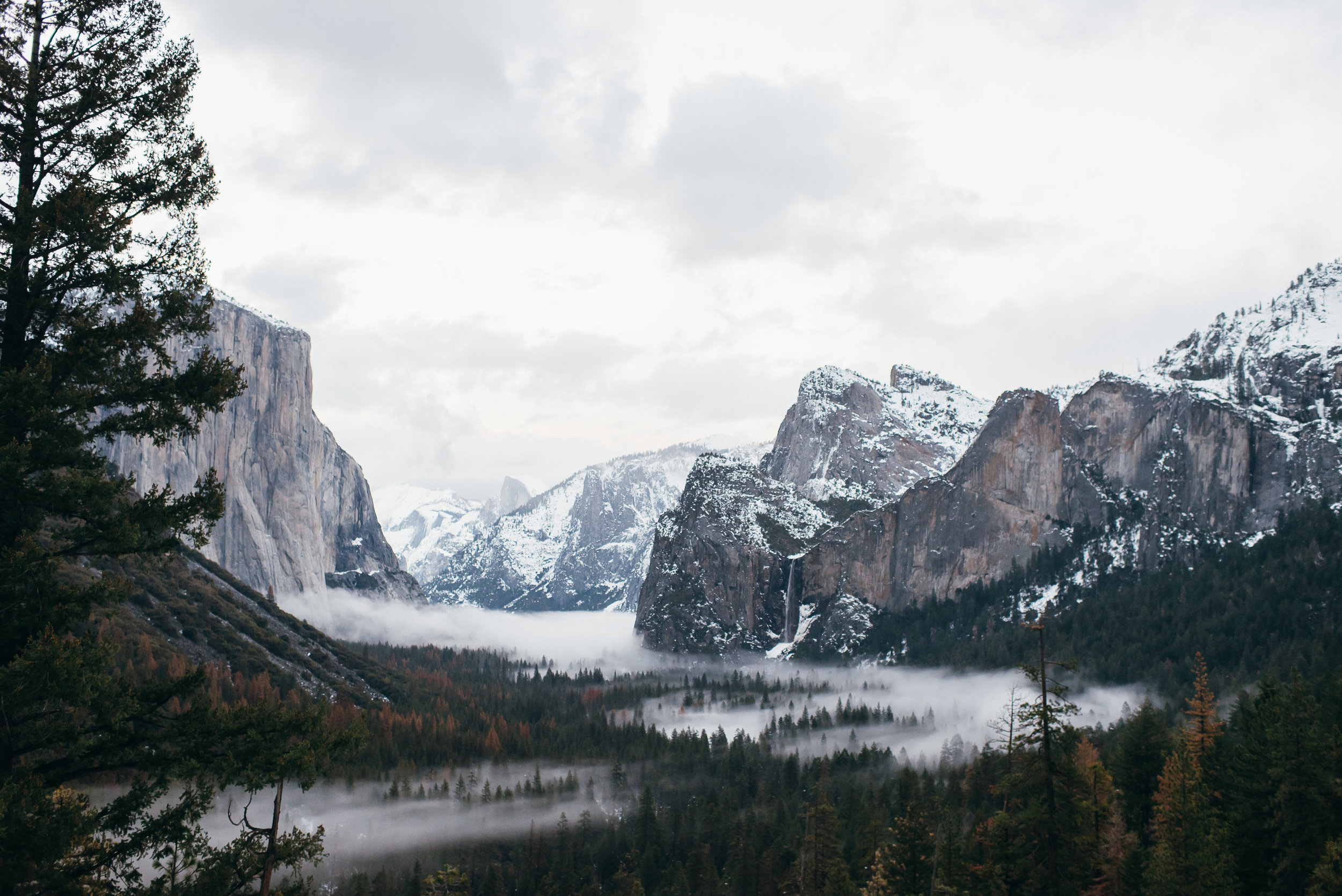 YosemiteAlexaBrandon©brianamoore-179.jpg