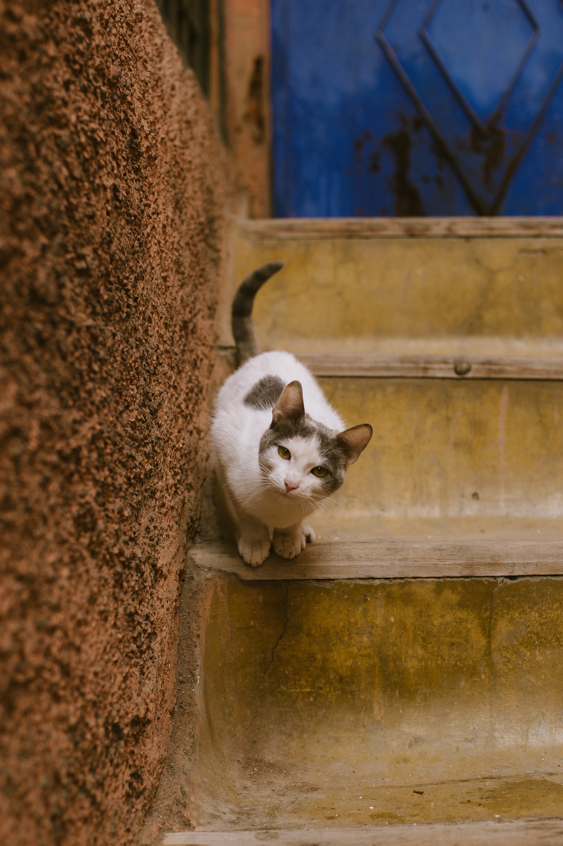 Morocco-30.jpg