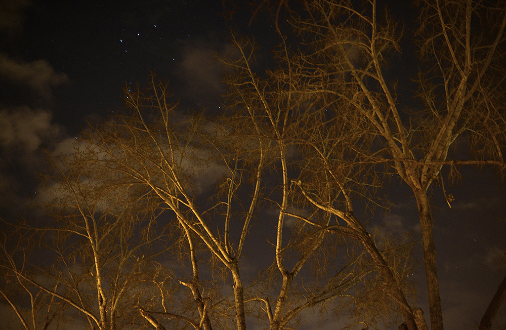 Orion - Nikon D800, 50mm lens, Exp 0.3 sec, f 2.0, ISO 1250 Note: That is Orion's belt and sword above and behind the tree.