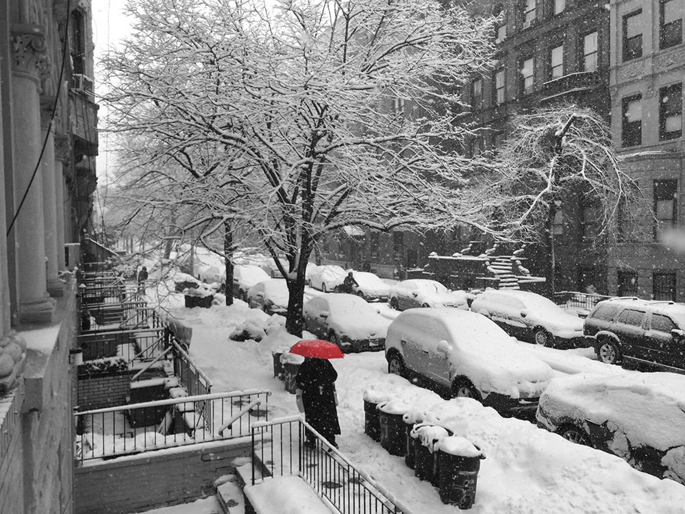 3/5/15 Snow Day NYC