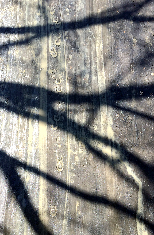 3/13/15 Hoof and Footprints, Central Park