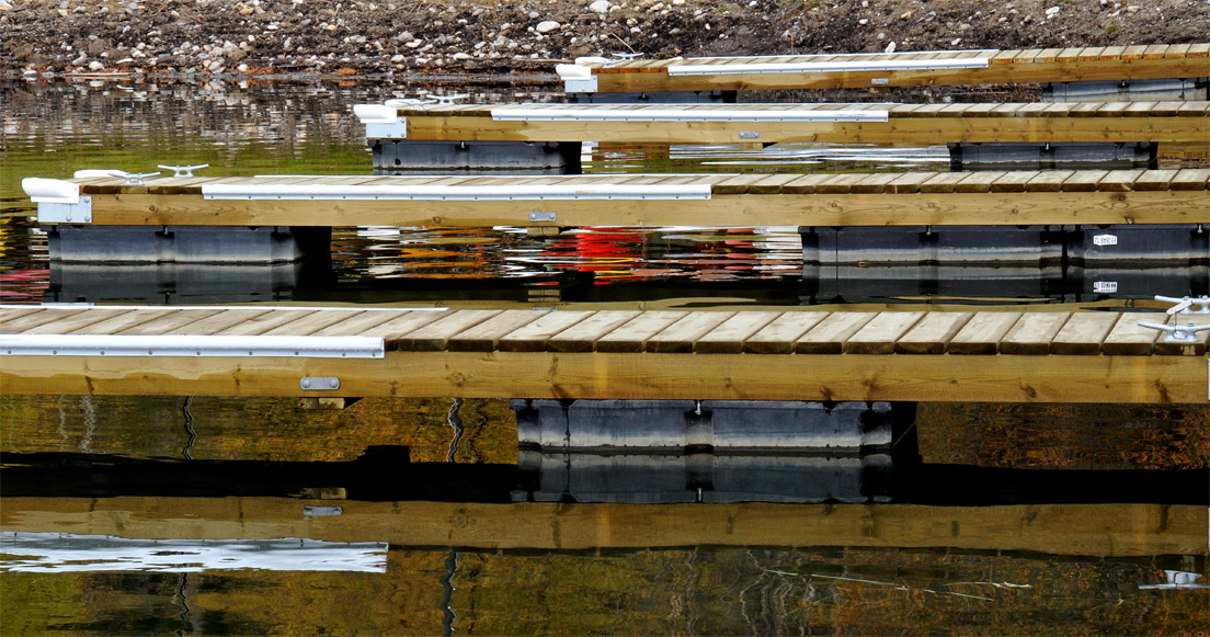 Dock_9722©ChesherCat.jpg